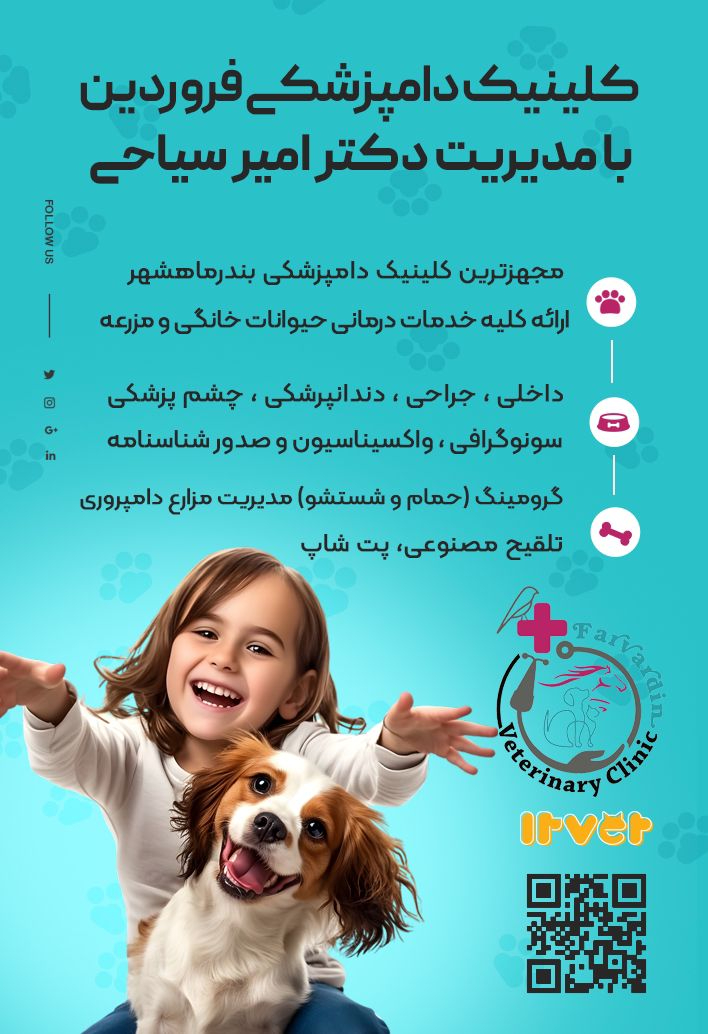 کلینیک دامپزشکی فروردین ماهشهر